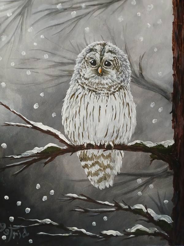 Paint Nite: Owl in Winter White