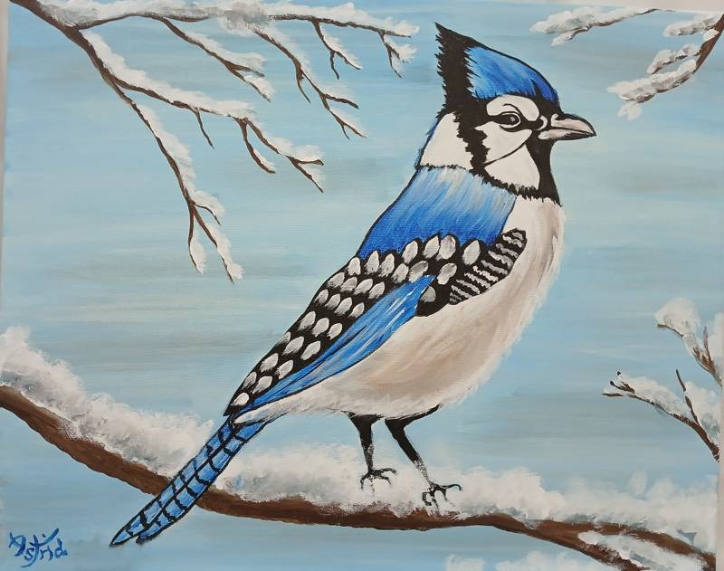 Paint Nite: Snowy Blue Jay