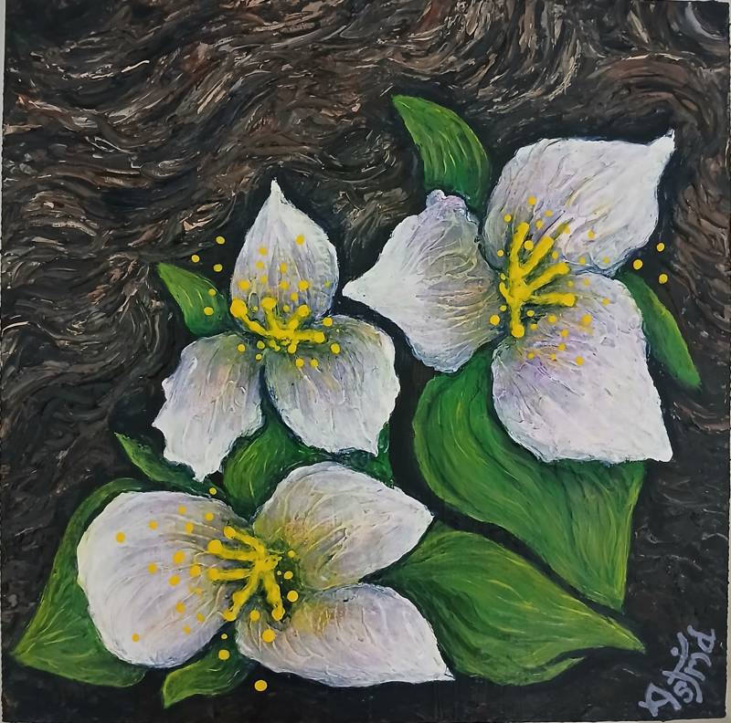 Three Trilliums 