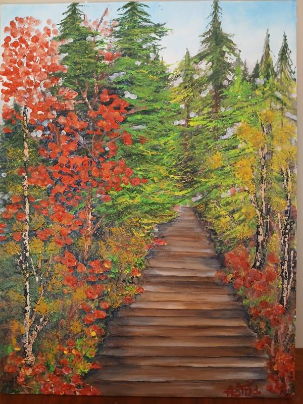 Spruce Bog Boardwalk in Autumn