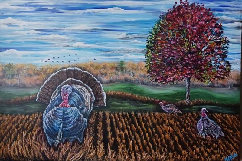 Field Stroll: Wild Turkeys in Autumn